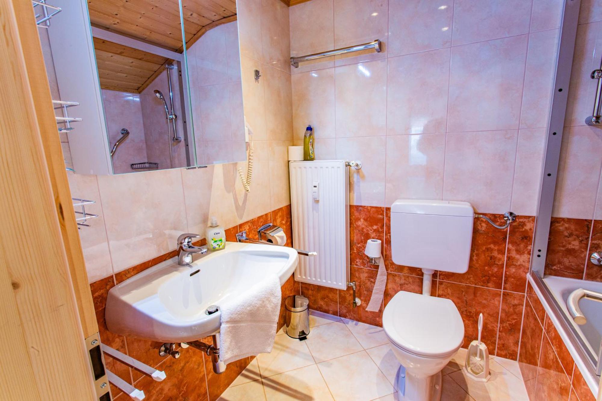 Bergidyll 10 By Alpenidyll Apartments Ramsau am Dachstein Εξωτερικό φωτογραφία
